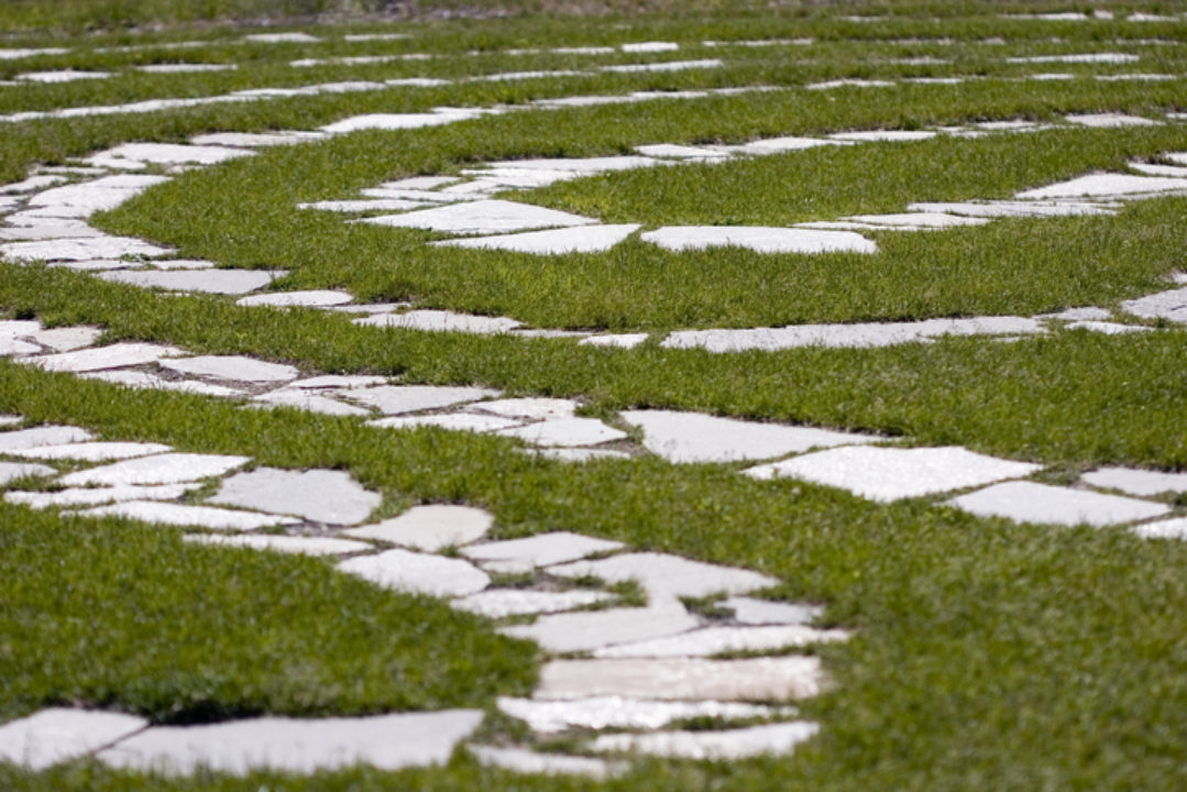 A grassy labyrinth