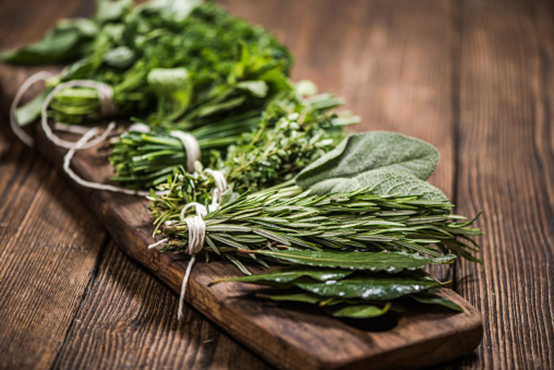 Bunches of parsley, sage, rosemary, and thyme on wooden plank