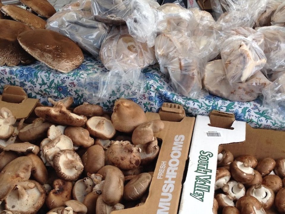 Mushrooms at a farmers market