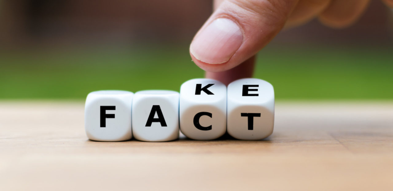 An image of cubes spelling fact and fake