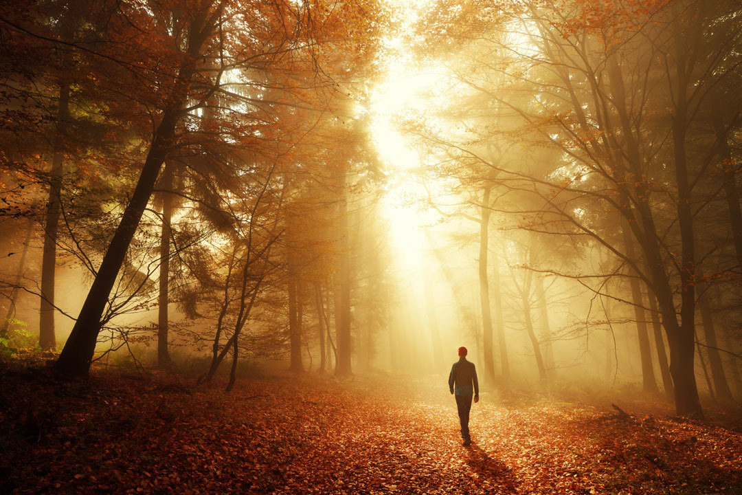 Man walking in woods with golden light