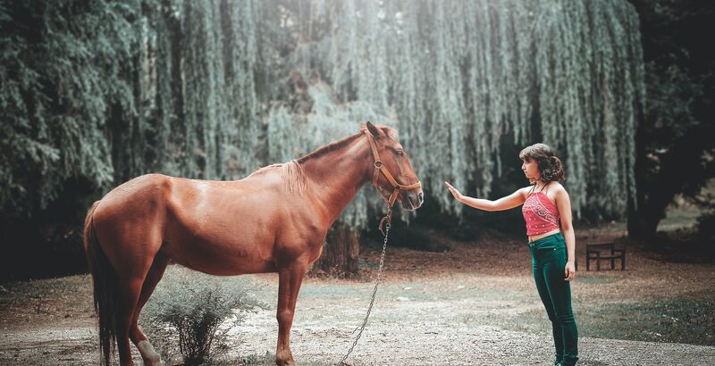 Empaths and Animals Spirituality Health