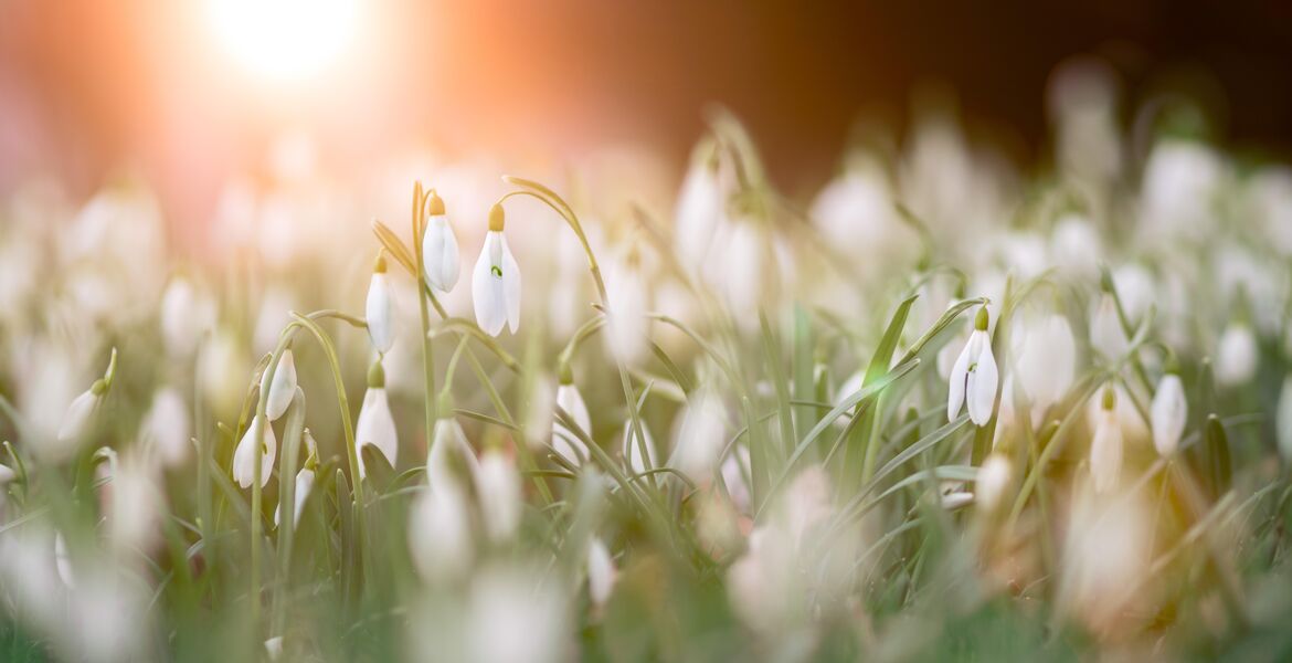 Spiritual Meaning Of The Spring Equinox | Spirituality+Health