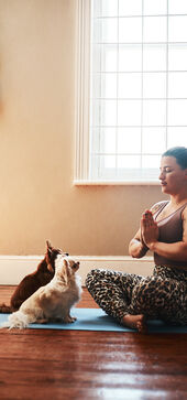 An Easy Meditation Practice for You and Your Dog | Spirituality+Health