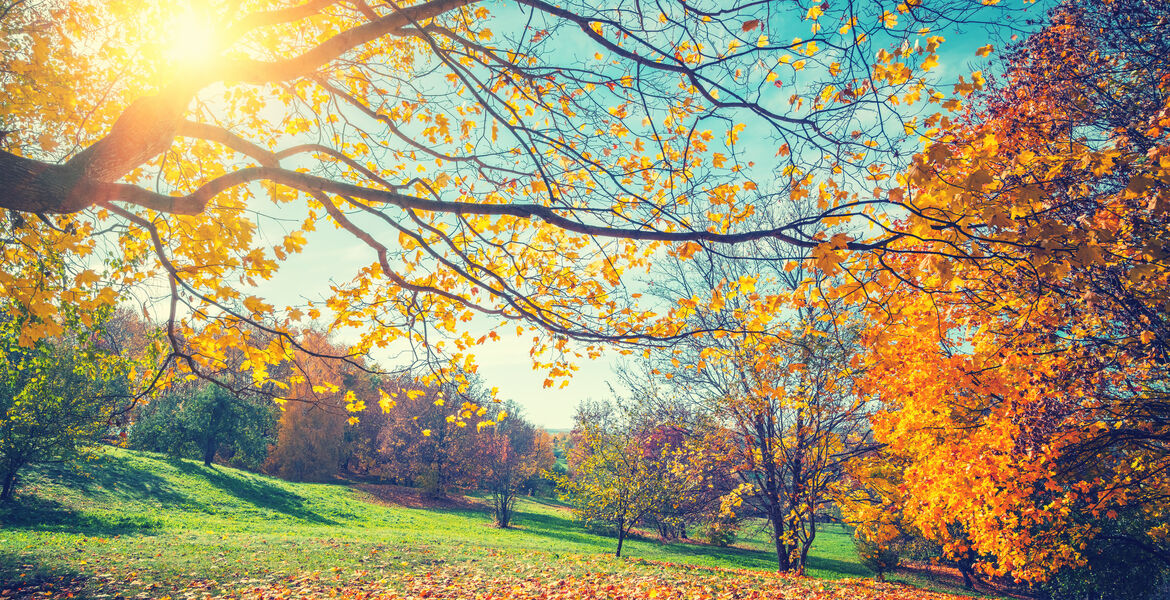 The Spiritual Meaning of the Autumn Equinox Spirituality+Health