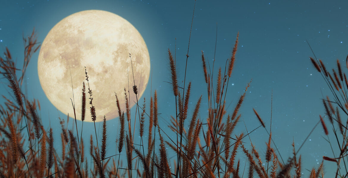 The Spiritual Meaning of the Full Hunter’s Moon Spirituality+Health