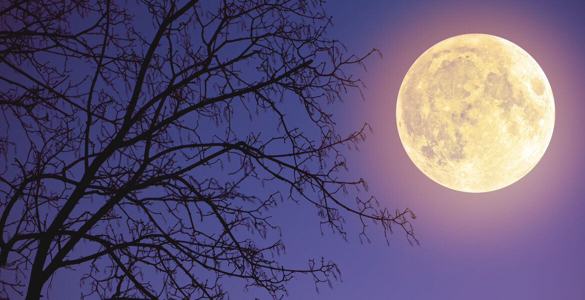 The Spiritual Meaning of the Harvest Moon Spirituality+Health