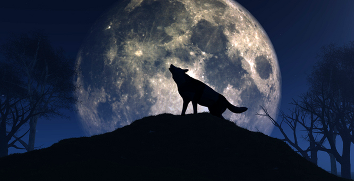 Spiritual Meaning of the Wolf Moon Spirituality+Health