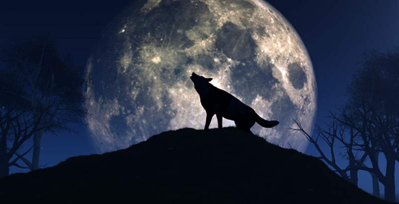 Spiritual Meaning of the Wolf Moon | Spirituality+Health