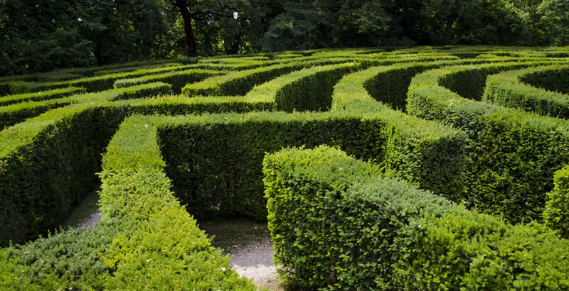 The Labyrinth: A Journey Back Home | Spirituality+Health